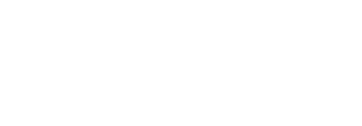 Logo Blanc | NAUSIKAA IMMOBILIER