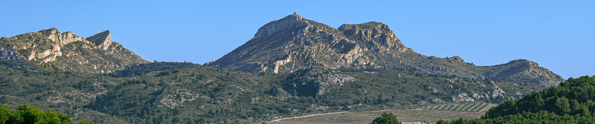 Terrains